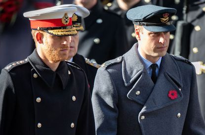prince william prince harry mourn great aunt anne wake walker