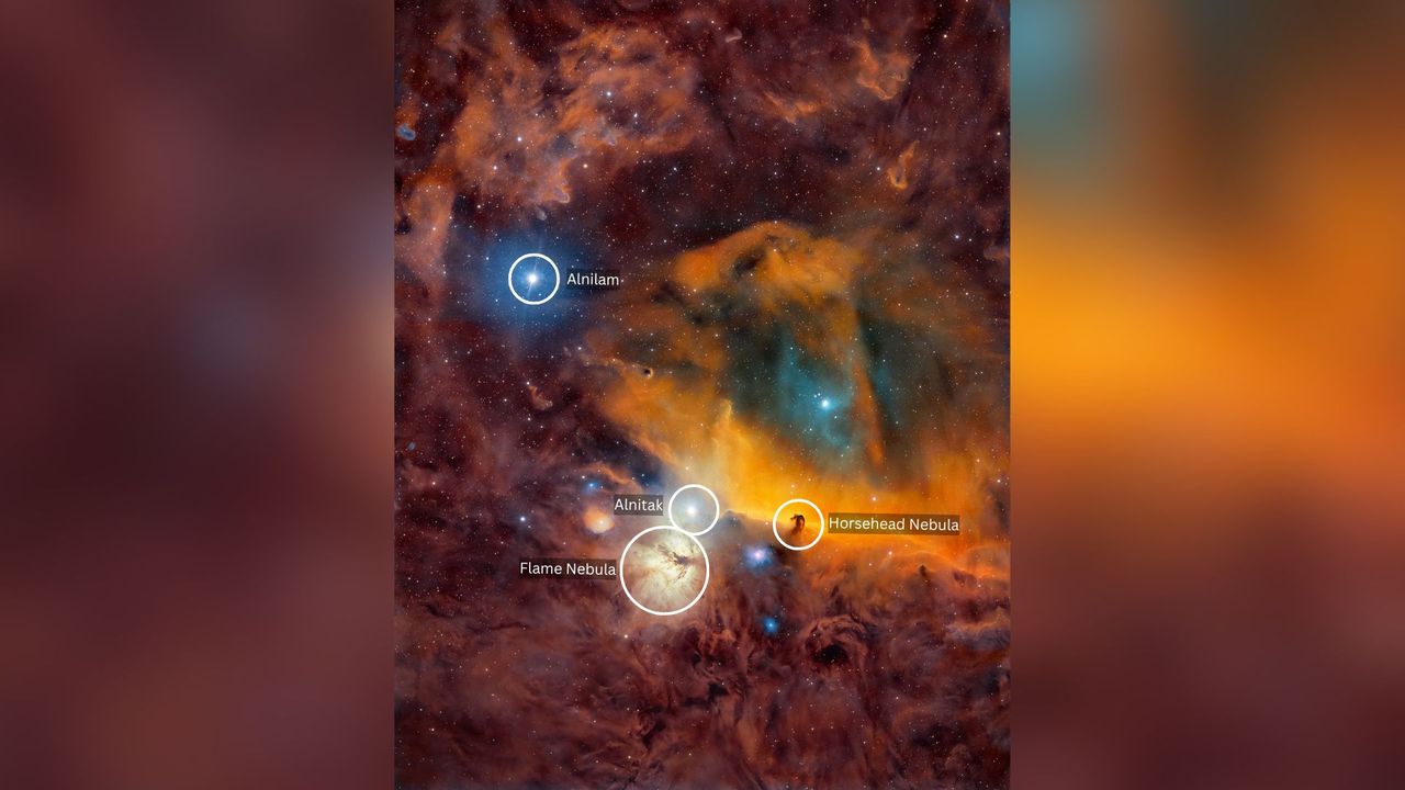 A nebula scene is shown with swirling clouds of brown, red and orange dotted with blue and white stars. White circles show the locations of the Horsehead and Flame nebulas, and two prominent stars.