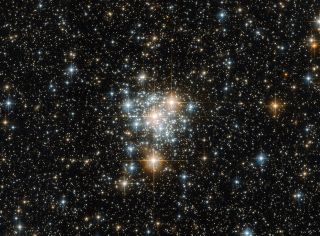 The Hubble Space Telescope spied this star cluster, named NGC 299, in the southern constellation of Toucana (The Toucan), about 200,000 light-years away. It also lies within the Small Magellanic cloud, a dwarf galaxy near the Milky Way. The telescope created this image with its Advanced Camera for Surveys.