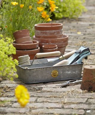 terracotta pots and galvanized trug in garden