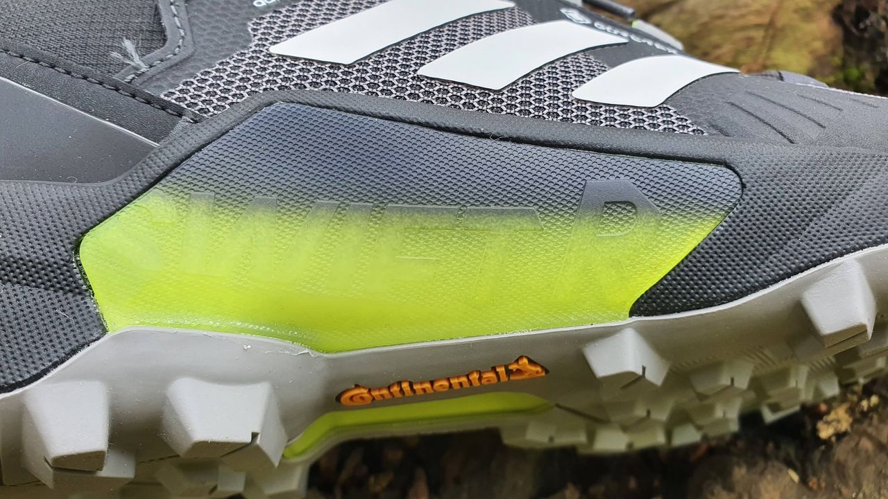 Adidas Terrex Swift R3 Gore-Tex Hiking Shoe