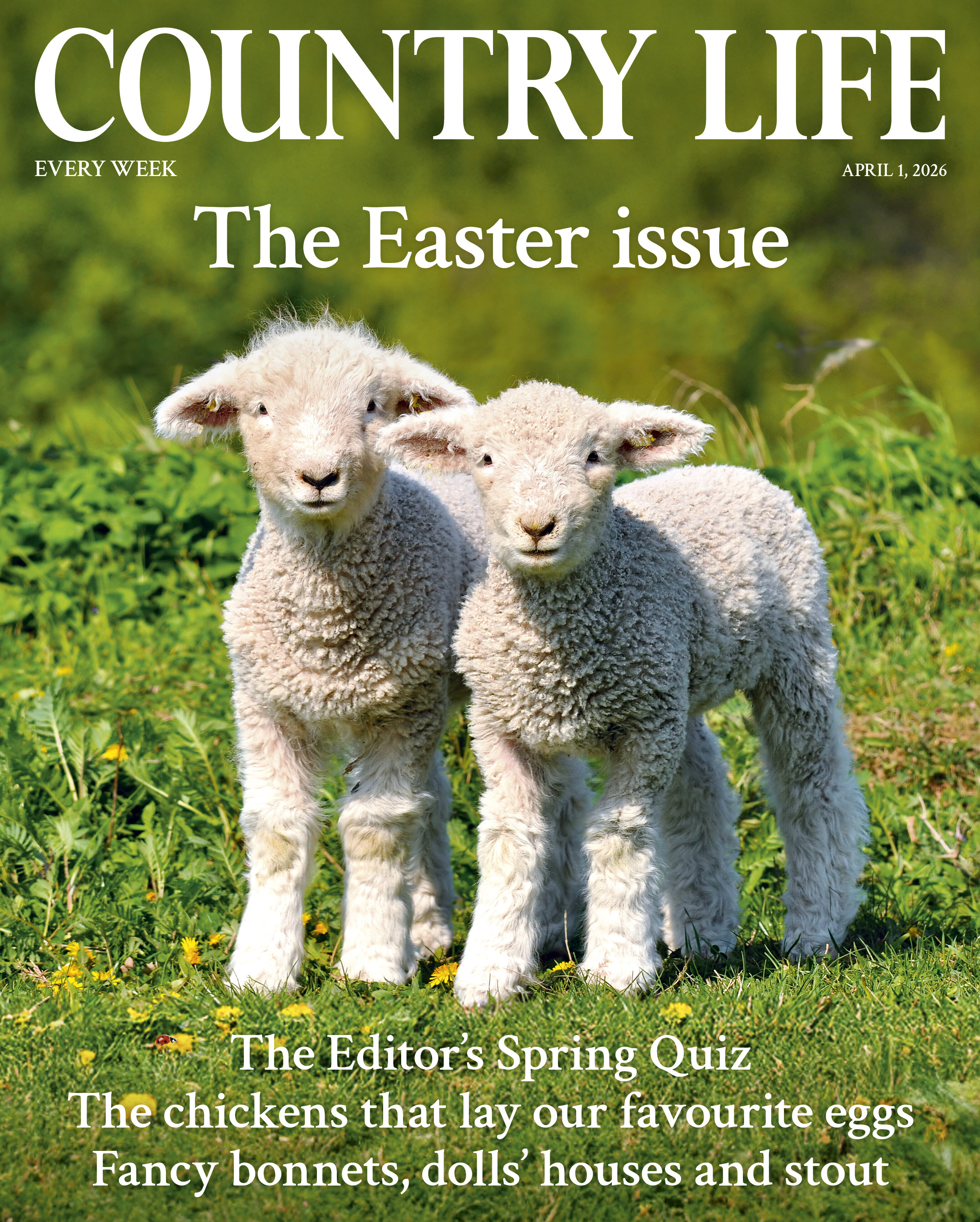 Cover of Country Life 1 April 2026, featuring Karel Gallas's picture of lambs 