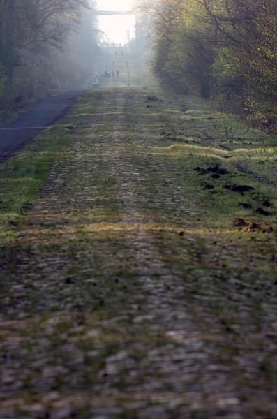 The entrance to the Arenberg Forest off in the distance.
