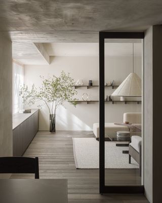 A plant in a minimalist room