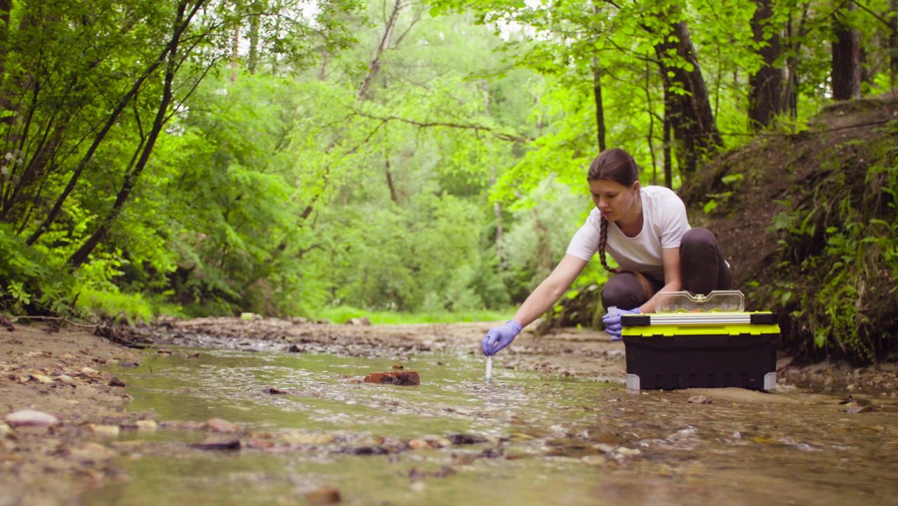 An ecologist doing as survey