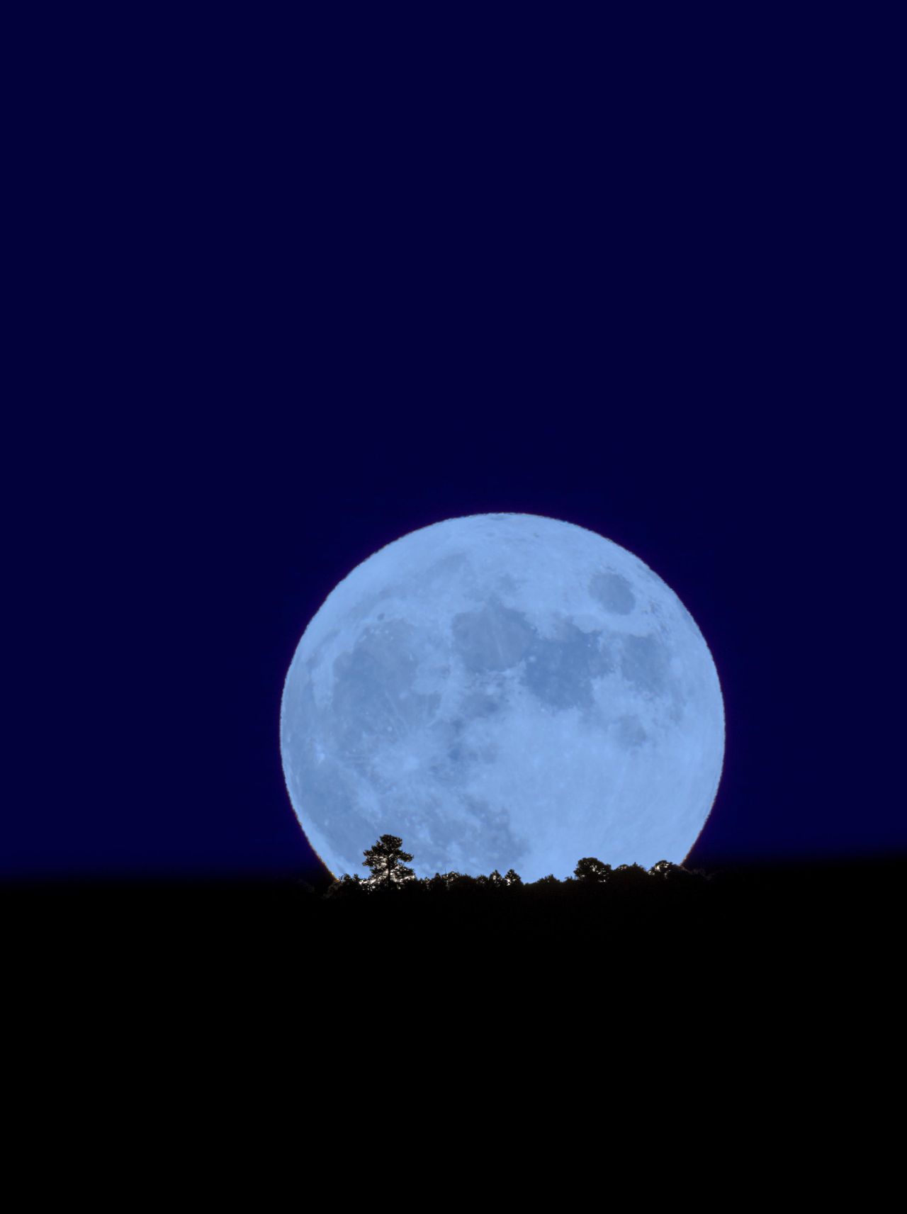 Full moon rising over Rocky Mountains, Salida, Colorado, USA