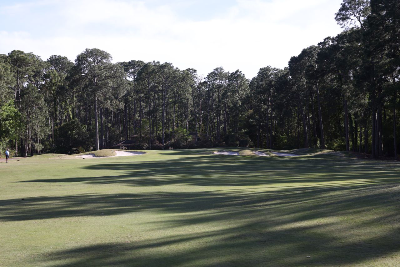 Oyster Reef Tree lined fairways