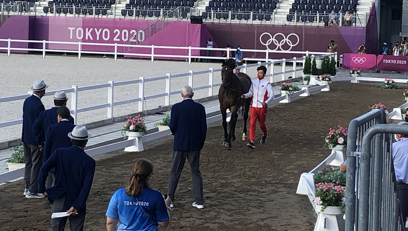 Olympic showjumping trot-up Caesar You Zhang