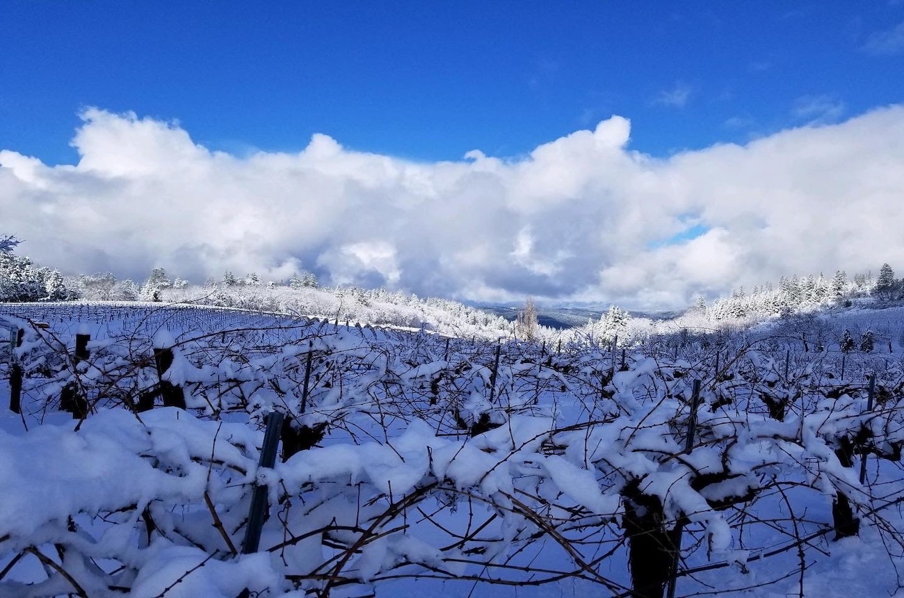 California's El Dorado AVA - Lava Cap