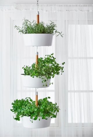 Ikea storage used for houseplants