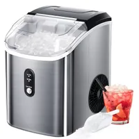 R.W.Flame Nugget Ice Maker