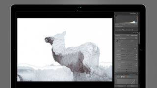 Photo of a snow-covered horse being edited with a Lightroom preset