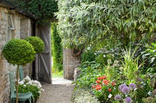 side garden with gravel, potted trees, flowedbed and gate