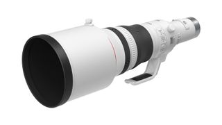 Canon RF 800mm f/5.6 L IS USM