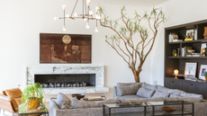 A modern living room with a large sculptural indoor tree in the corner that commands the space, next to an inset black bookcase on the right and an inset marble fireplace in the center with a gray l-shaped sofa facing it