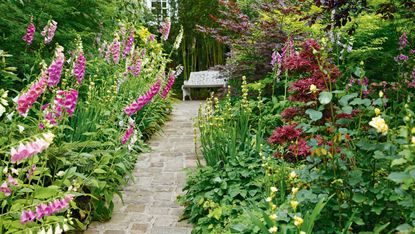 cottage garden path ideas: stone pathway with borders