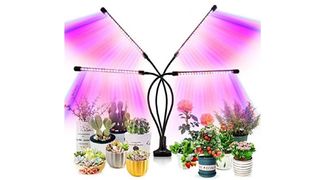 grow light