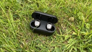 1More Evo earbuds and case on green grass