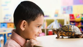 Boy and turtle