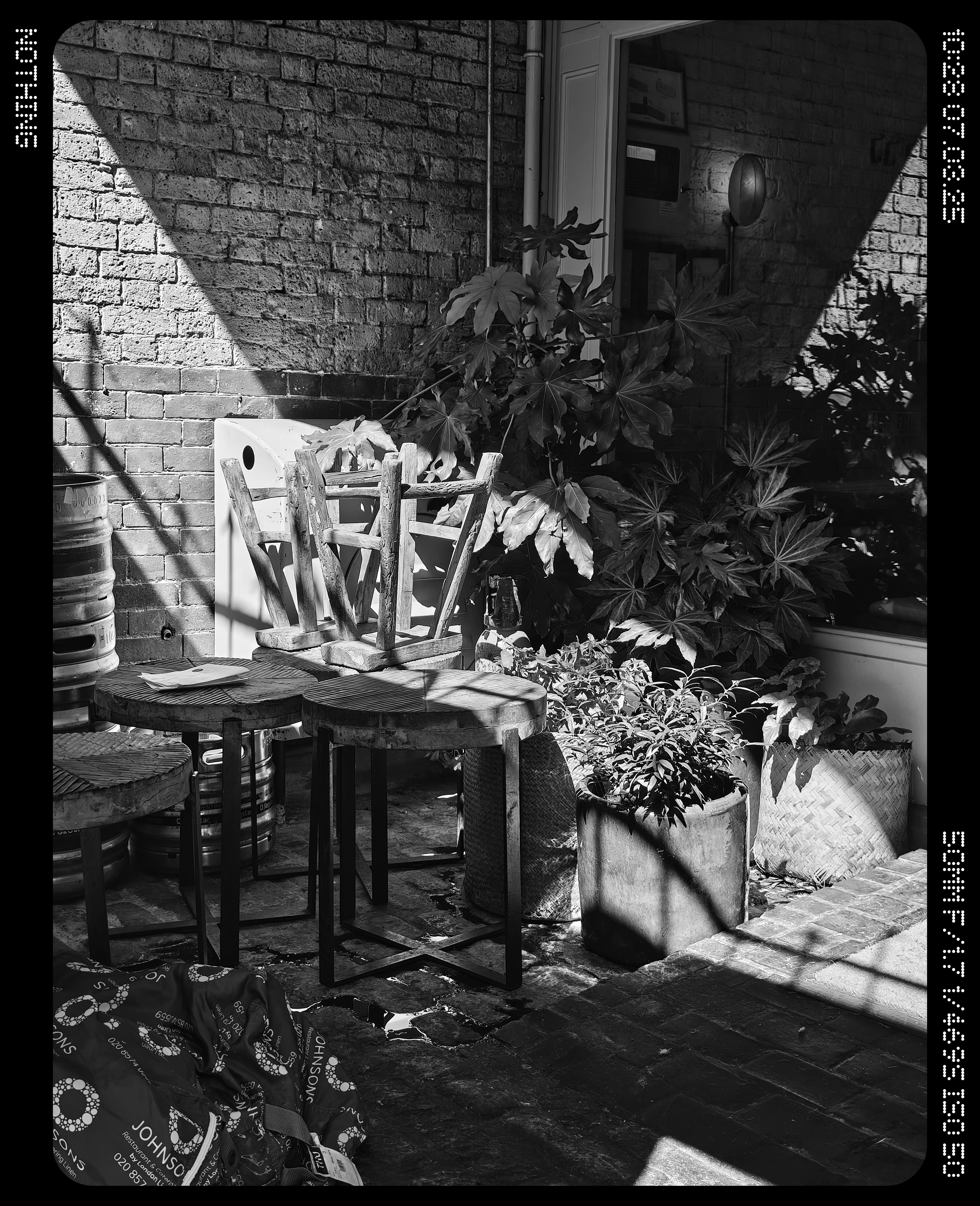 A storage room full of plants on tables and chairs