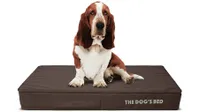 The Dog's Bed orthopedic dog bed
