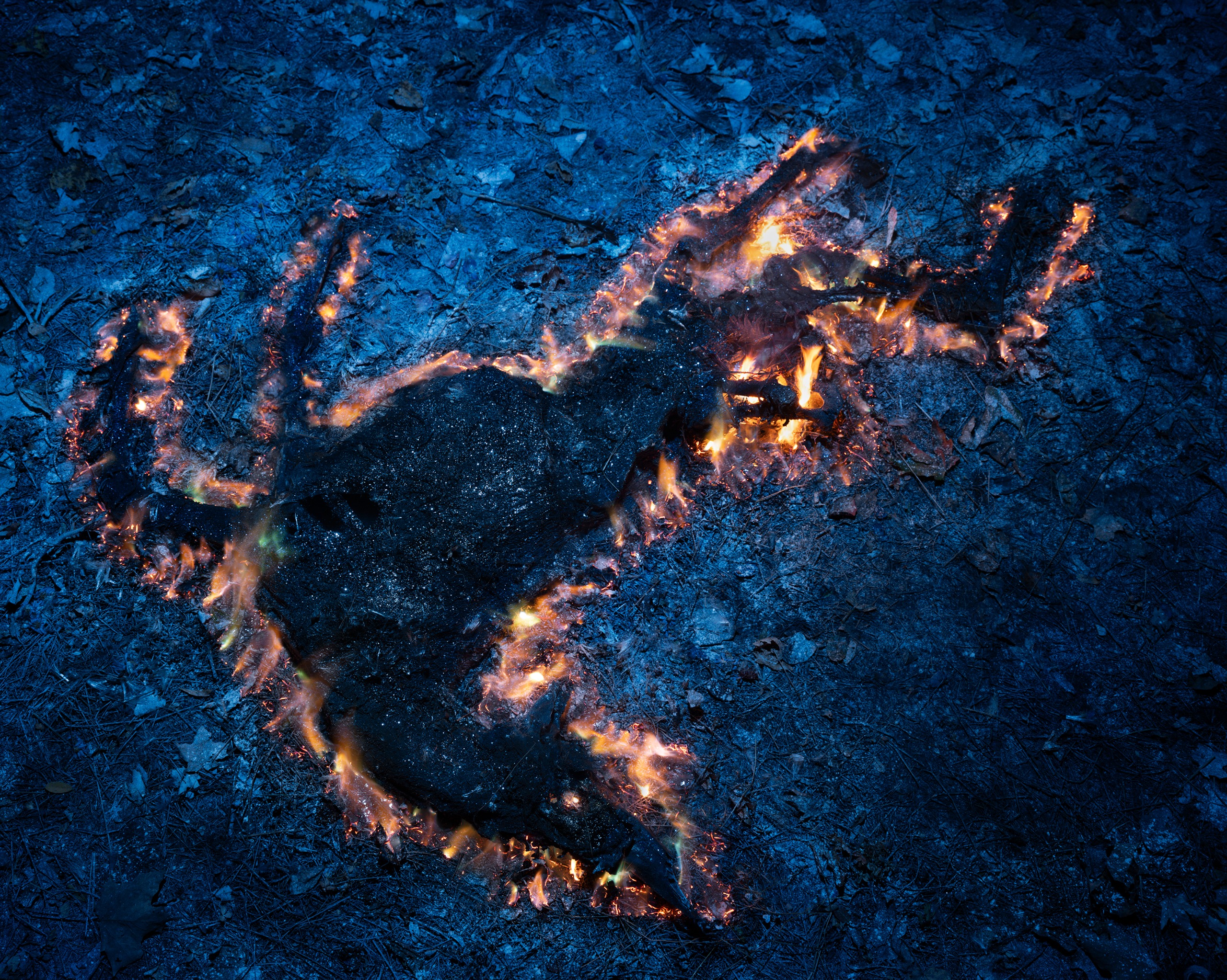 Seen from above against dark, blue-tinted woodland ground, a deer-shaped mass of charred material smoulders with flickering orange flames around its outline.