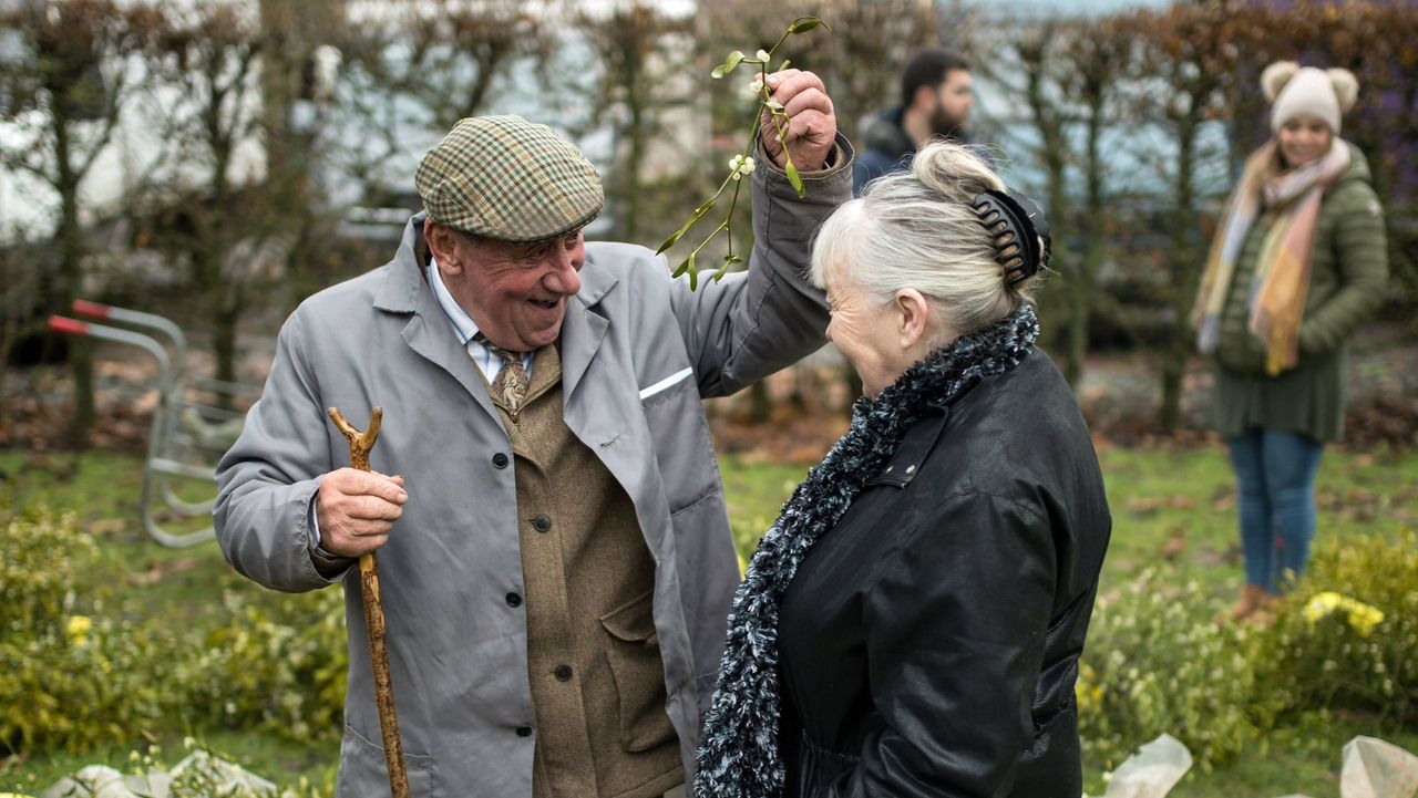 Mistletoe