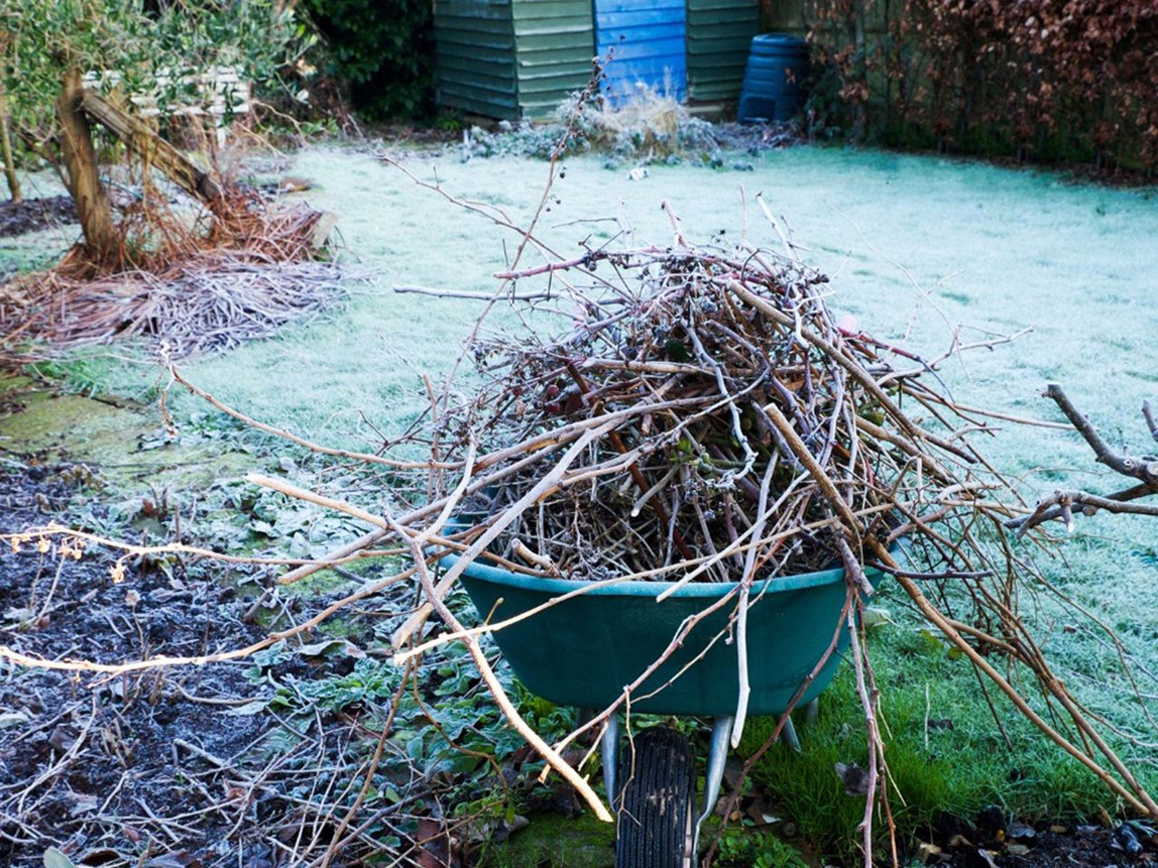 Wheelbarrow Filled With Sticks In The Garden