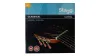Stagg Classical Nylon Guitar Strings