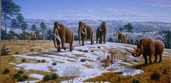 Pleistocene megafauna