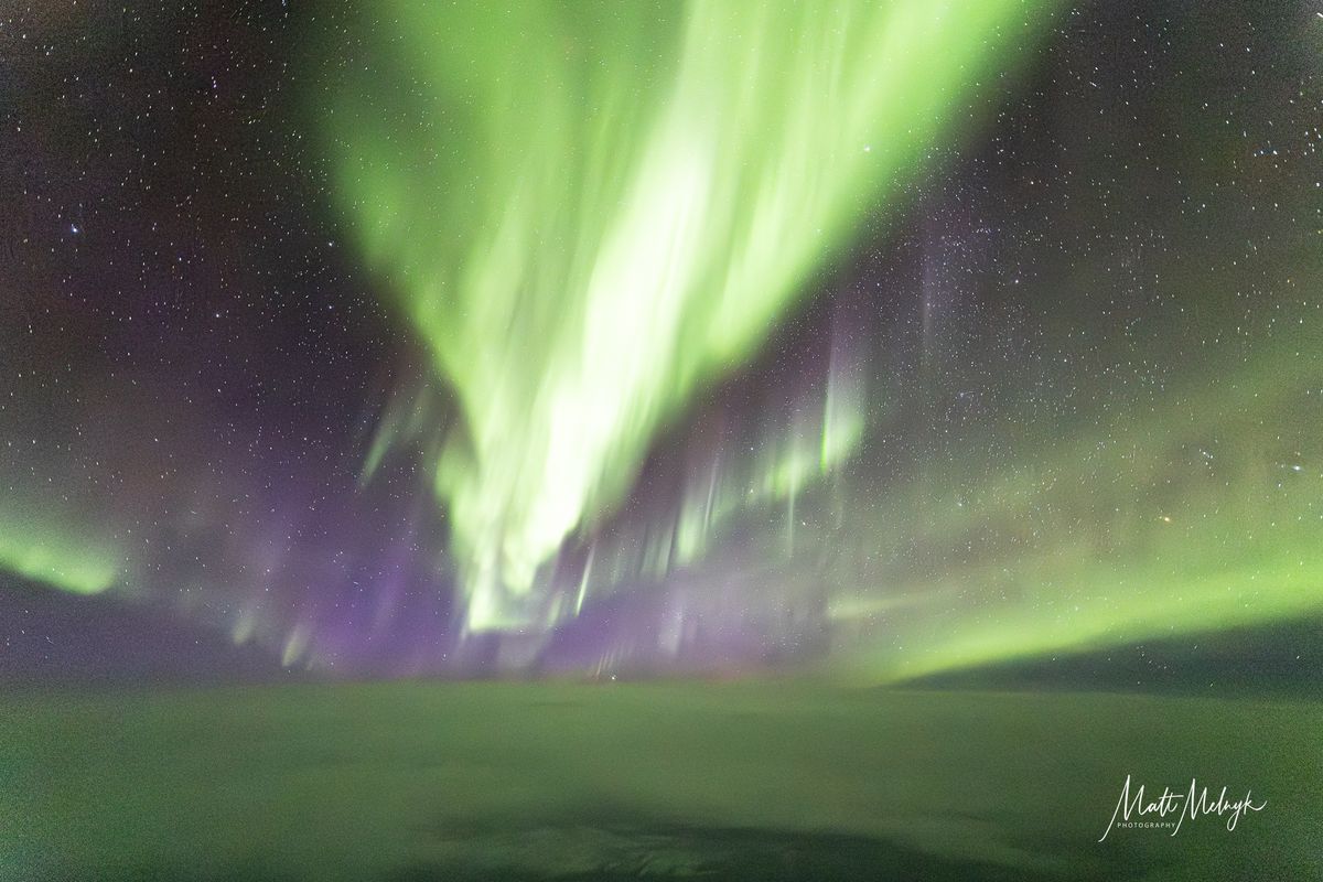 ribbons of green and purple light fill the sky in photos captured above the clouds from a dreamliner airplane.
