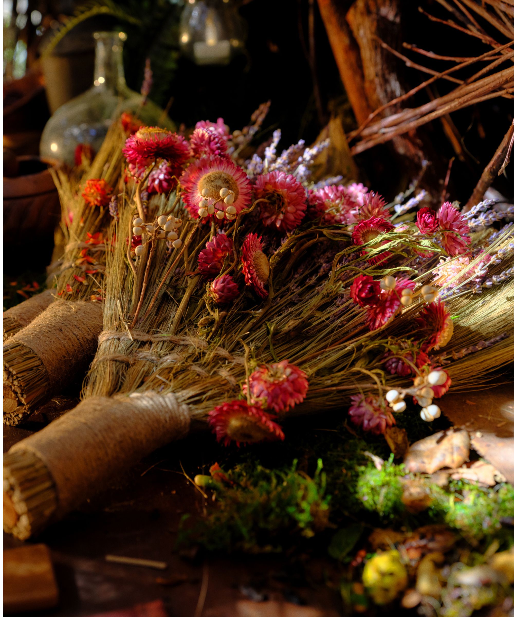 elphaba&#039;s retreat on airbnb