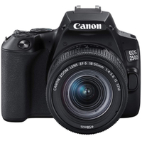 Canon EOS 250D + 18-55mm f/4-5.6|
