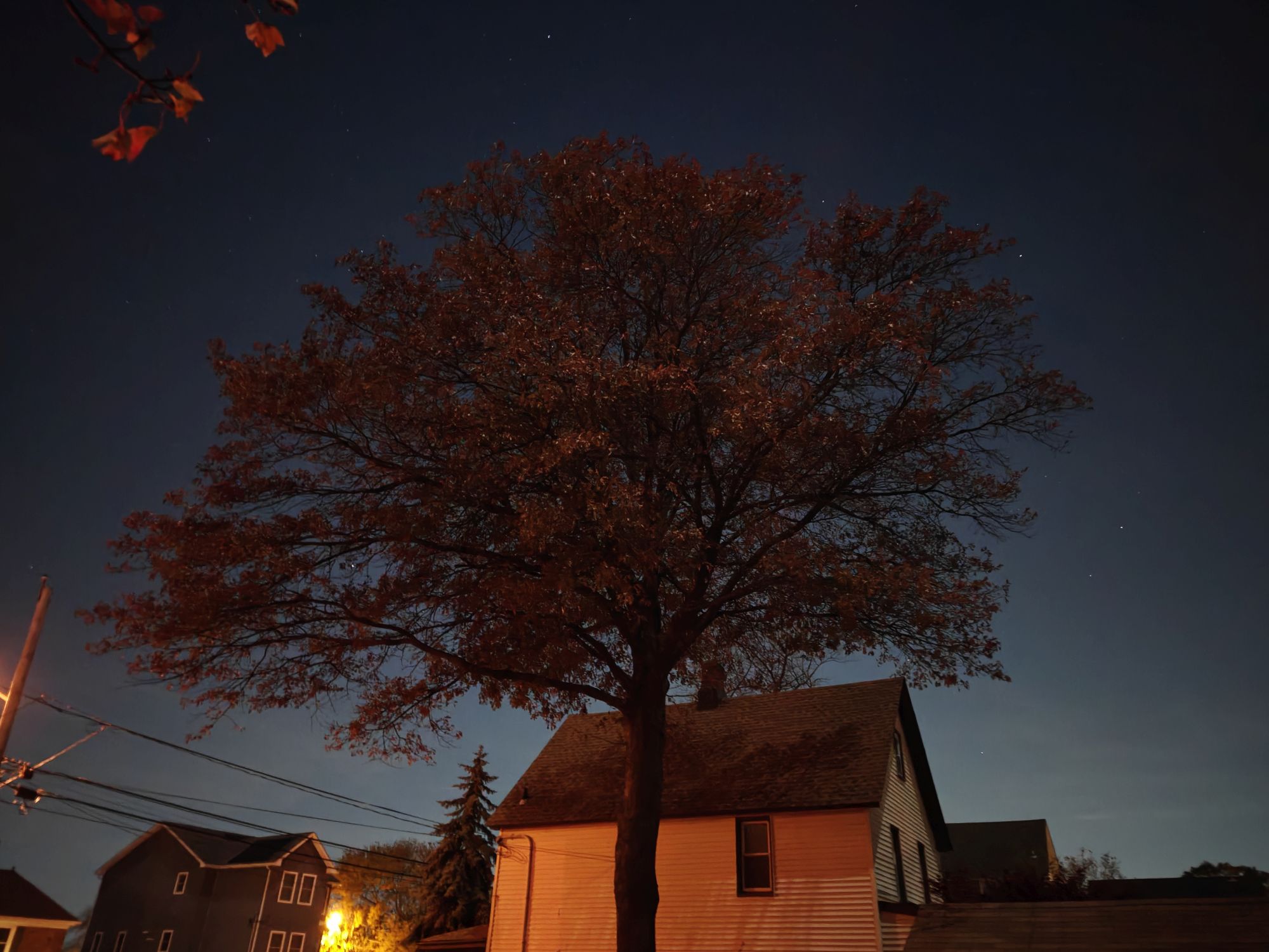 OnePlus 15  camera sample.