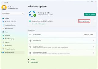 Windows Update version 22H2 download