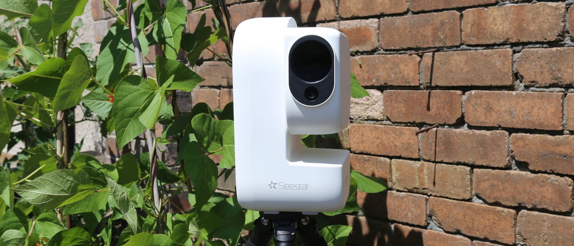 The ZWO Seestar S50 Pro with leaves and a brick wall in the background. 
