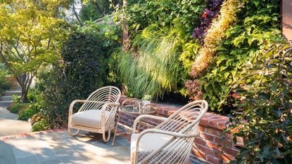 A backyard with a seated area