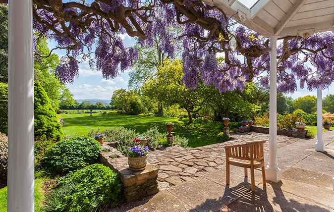 House with great view and wisteria