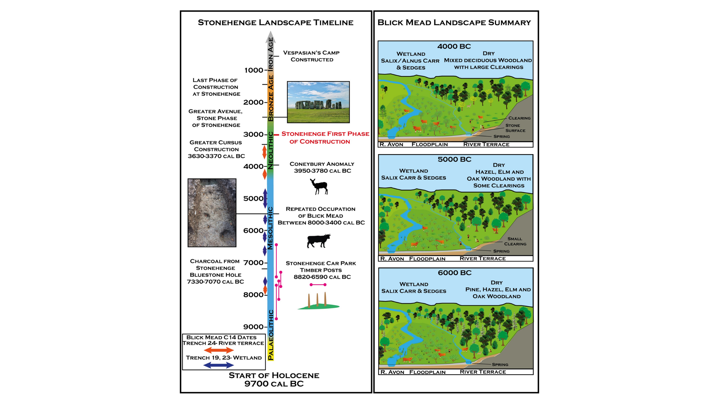 The graphic on the left shows a timeline of the Stonehenge landscape.  To the right are illustrations of the changing vegetation around the Stonehenge site before it was built.