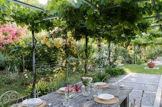 cottage garden patio ideas: roses on pergola over seating