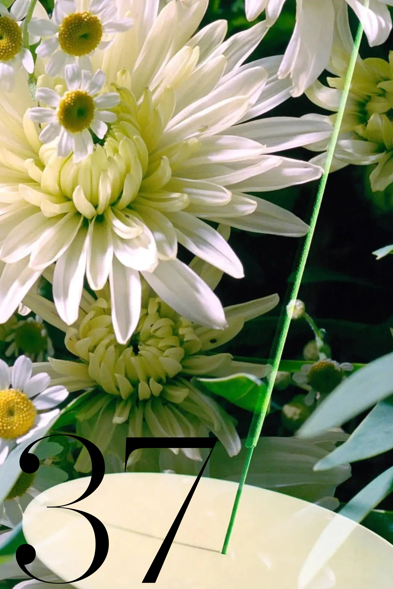 close up of flowers with green incense stick in white dish in the foreground