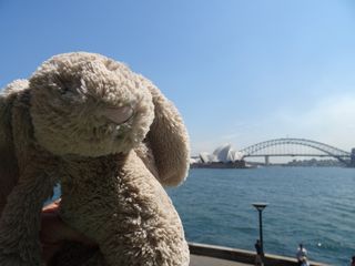 A toy rabbit photographed in front of the Sydney Harbour Bridge