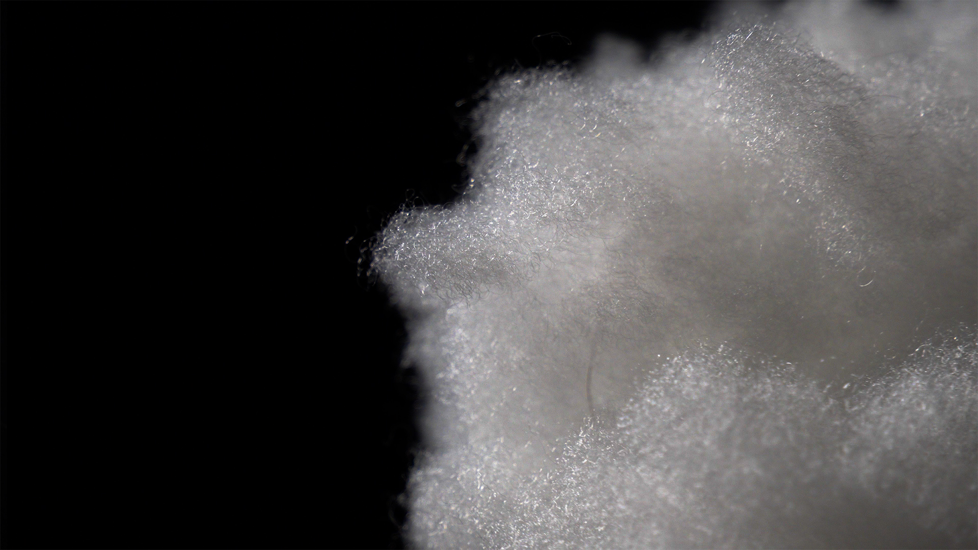 Thermore has unveiled Ecodown Fibres T2T