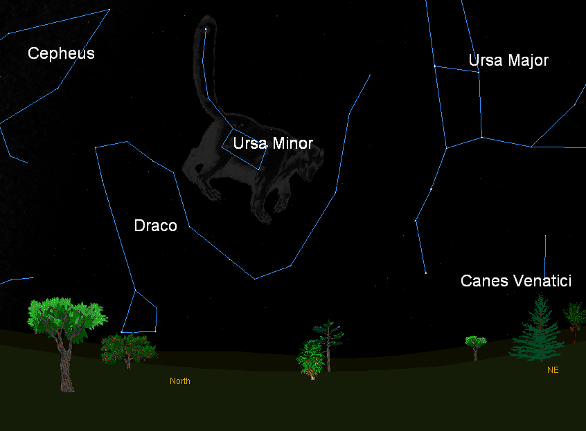 This sky map shows the location of the constellation Ursa Minor (Little Bear), the star pattern from which the annual Ursid meteor shower appears to radiate from. This map shows where to look at 10 p.m. local time to find Ursa Minor in the northern night 