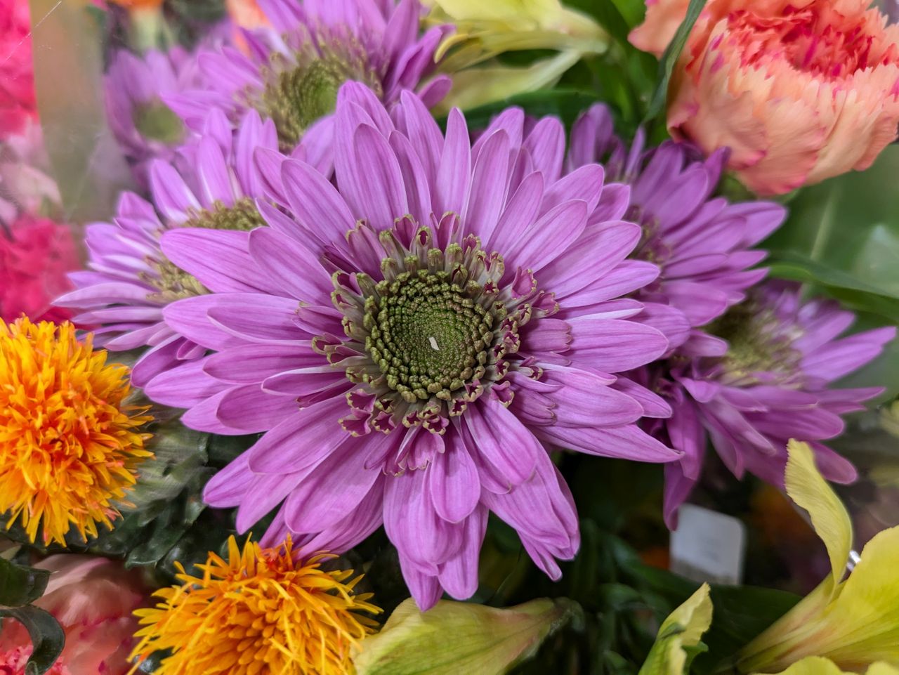 Google Pixel 8a macro sample.