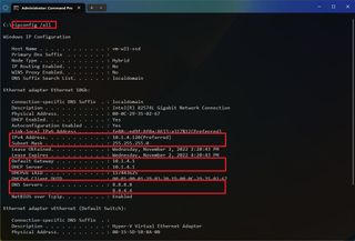 ipconfig command