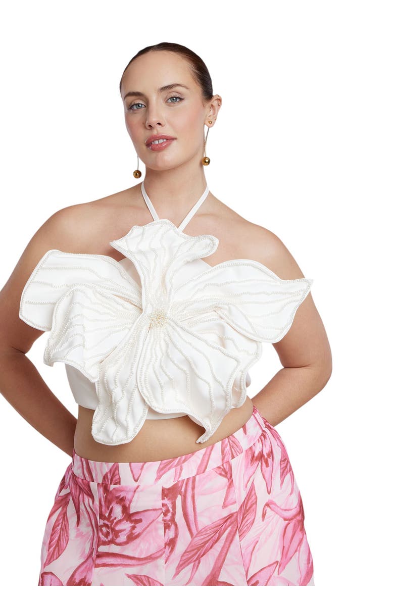 Halter Scarf Top