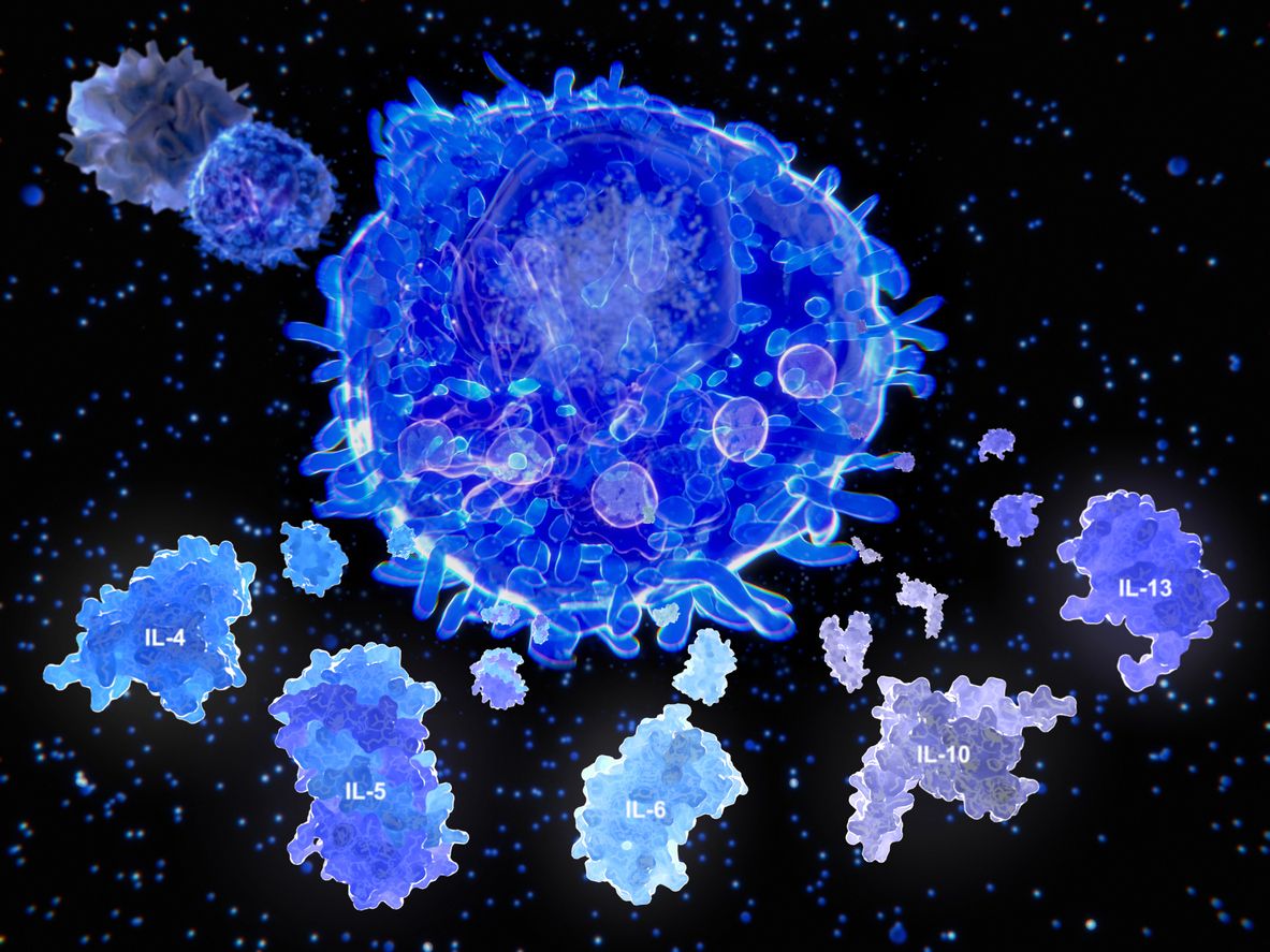 T cell and cytokines