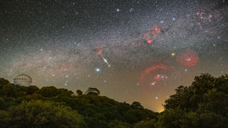 The night sky over a forest shows a bright galaxy and stars with one streaking meteor through the middle.