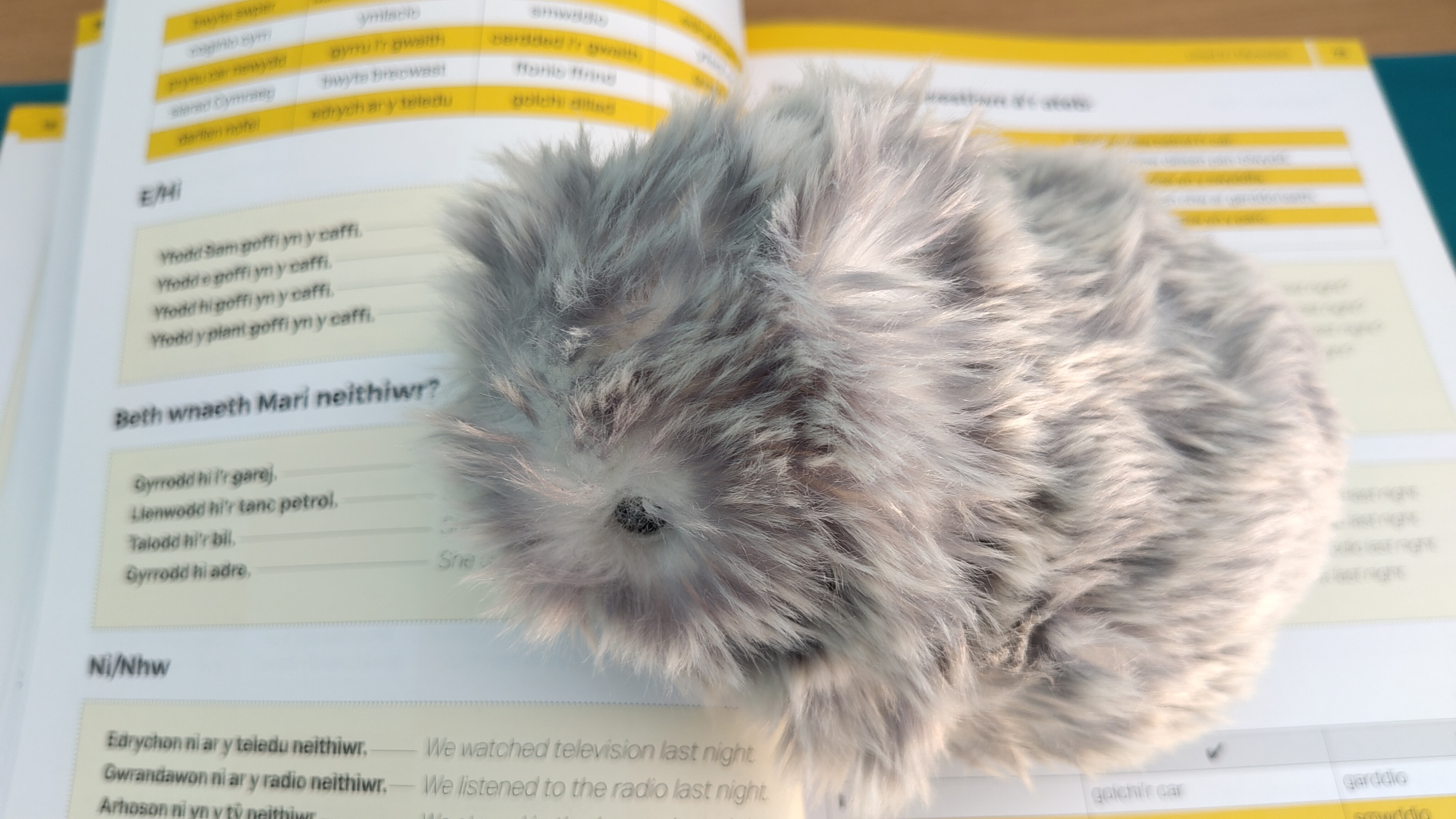 Moflin on Welsh language workbook